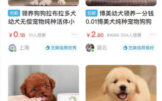  宠物装备能交易吗,为什么闲鱼不能卖活体？